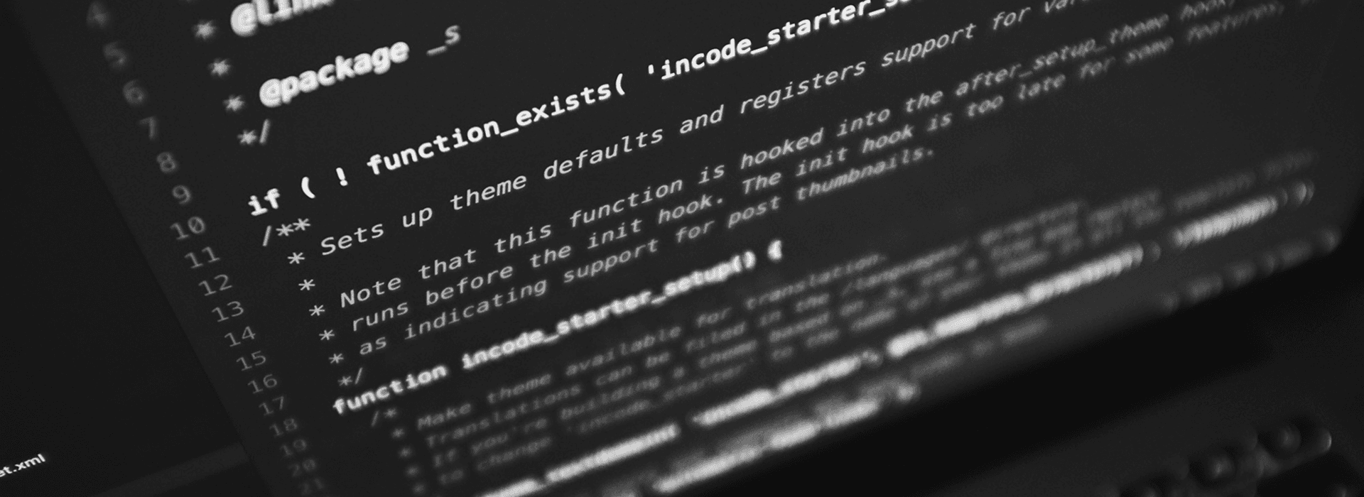 IT Engine tim za razvoj prilagođenog softvera