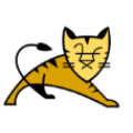 IT Engine Tomcat logo